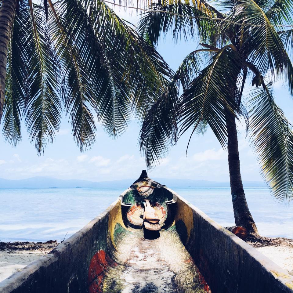 A wooden boat under palm trees on a tropical beach